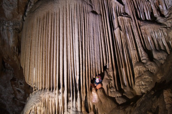 Il famoso "organo" della Grotta di Ternovizza (TS) - foto S-Team